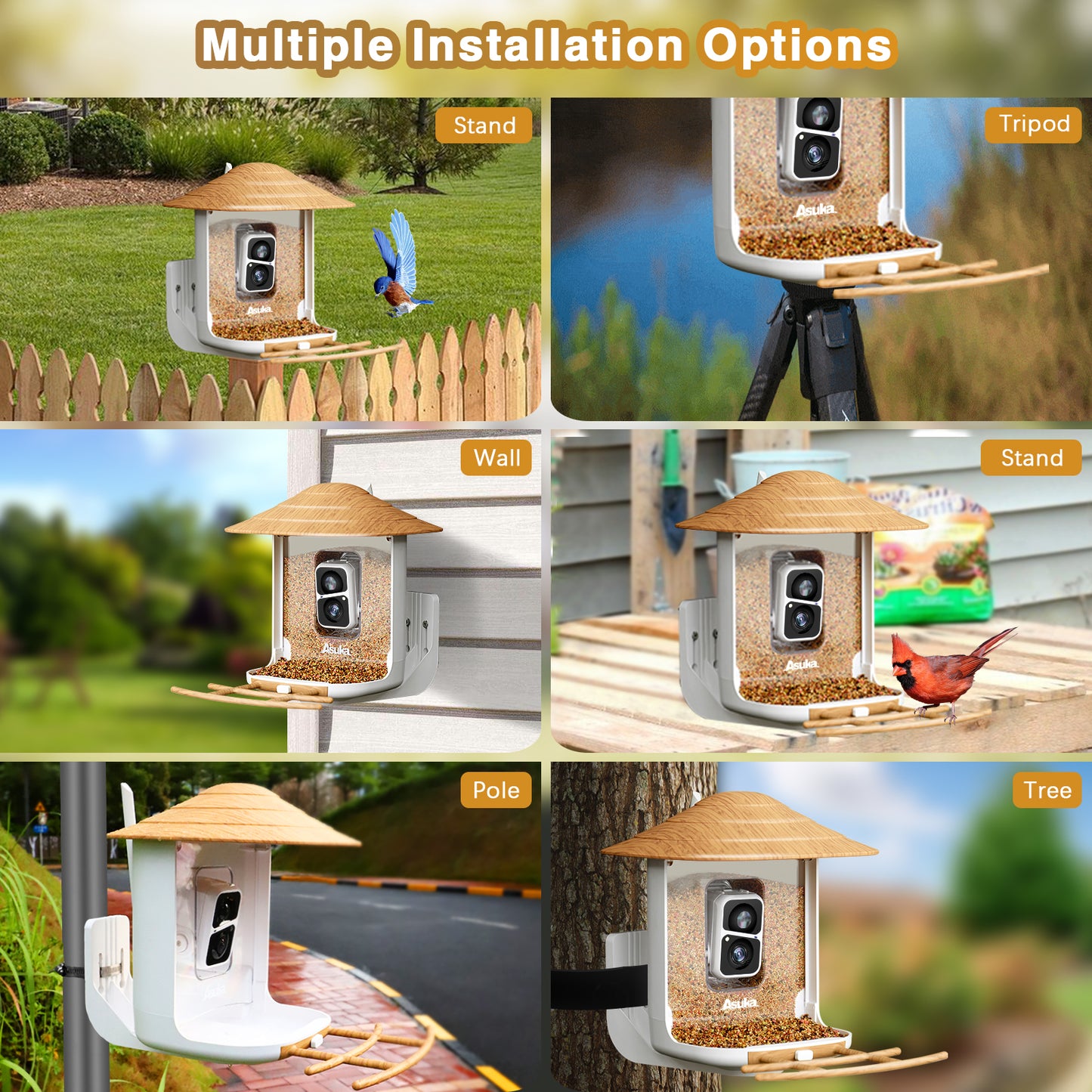 Smart Bird Feeder