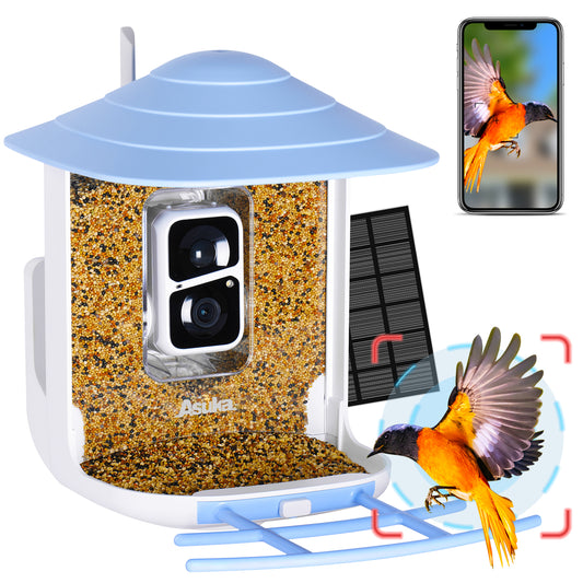 Smart Bird Feeder